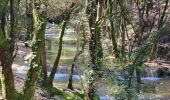Randonnée Marche Nans-les-Pins - 
