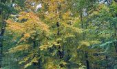 Tocht Stappen Gerpinnes - 100 pc forestier  - Photo 7