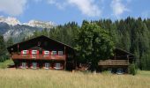 Trail On foot Santo Stefano di Cadore - IT-135 - Photo 2