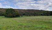 Excursión A pie Wettin-Löbejün - Rundweg Nußgrund Tannengrund Rothenburg - Photo 2