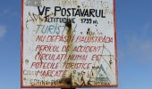 Excursión A pie Brașov - Poiana Brașov - Prăpastia Lupului - Vf. Postăvaru - Photo 10