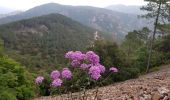 Randonnée Marche Fréjus - Col du Testanier - le mont vinaigre - Photo 7