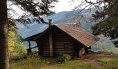 Tour Wandern Lepuix - Ballon d'Alsace - cascade et lac d'Alfeld - Photo 8