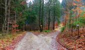 Excursión A pie okres Žilina - Náučný chodník Stratený Budzogáň - Photo 4