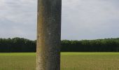 Tour Wandern Ronquerolles - Ronquerolle Messelan Houdan - Photo 3