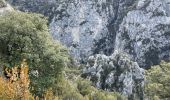 Trail Walking La Palud-sur-Verdon - Bastidon la palud  - Photo 3