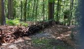 Randonnée Marche Fleurus - forêt des loisirs Fleurus - Photo 6