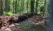 Trail Walking Fleurus - forêt des loisirs Fleurus - Photo 6