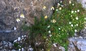 Tour Zu Fuß San Giovanni di Fassa - Sentiero del Masarè - Photo 7