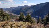 Excursión Senderismo Sewen - Lac d'Alfed et sa cascade - tour au pied du Ballon d'Alsace - Photo 9