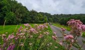 Tocht Stappen Thuin - Balade de Thuin à Lobbes - Photo 20