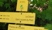 Trail Walking Saint-Laurent-du-Pont - Rocher de Pertuis  - Photo 1