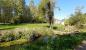 Tour Wandern Havelange - gros-chêne Chêne barvaux cdz - Photo 9