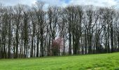 Tour Wandern Lasne - #240315 - Ohain Golf de Waterloo Marache - Photo 12