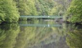 Tour Zu Fuß Nideggen - Stauseerundweg Obermaubach - Photo 6