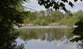 Percorso A piedi Wangen im Allgäu - Wanderweg 4 Wangen im Allgäu - Photo 2