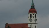 Tour Zu Fuß Röthlein - Heidenfelds Grüne Lunge - Photo 3