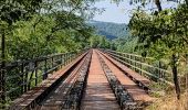 Percorso Marcia Bassignac - 250625 - Vendes - GRP,Montgroux,Viaduc - Photo 4