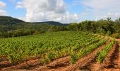 Randonnée Marche Saignon - Saignon - Apt - Photo 4