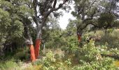 Tour Wandern Pignans - Pignan - ND des Anges. - Photo 11