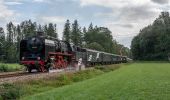 Tour Zu Fuß Apeldoorn - Loenense Enkenpad - Photo 10