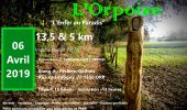 Trail Running Orp-Jauche - L'Orpoise 2019 - Photo 1