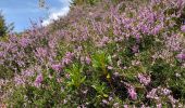 Trail Walking Theys - A l’ascension de la roche Noire - Photo 1