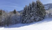 Randonnée Raquettes à neige Les Déserts - plainpalais circuit - Photo 2