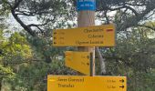 Randonnée  Ourches - Ourches Cobonne col croix Bezot - Photo 1