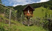 Tour Zu Fuß Unknown - Stoakogler Heimatwanderweg - Photo 4