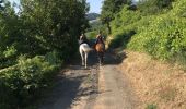 Percorso Equitazione Couzon-au-Mont-d'Or - 15 km croix rampau Curis-au-Mont-d’Or  - Photo 2