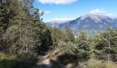 Tour Wandern Embrun - rando suf le mpny guillaume montée par le torrent de Marthe  descentr par la route forestière de bois de  Vezin   - Photo 5