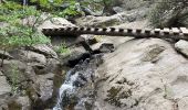 Trail Walking Laroque-des-Albères - La Roque des Alberes, randonnée et botanique - Photo 9