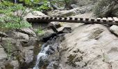 Excursión Senderismo Laroque-des-Albères - La Roque des Alberes, randonnée et botanique - Photo 9