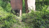 Tour Wandern Oberhaslach - Oberhaslach - Photo 4