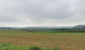 Tour Wandern Florenville - Orval-Auflance-Villers-Orval 13km - Photo 2