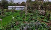 Randonnée Marche Gembloux - Promenade du bois de Grand-Leez et son étang  - Photo 9