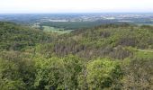 Tour Wandern Saint-Étienne-du-Bois - Meillonnas, Jasseron - Photo 3