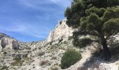 Tocht Stappen Marseille - Vallon des Chalabran et des Rampes - Photo 6