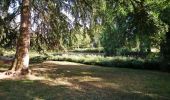 Trail Walking Tours - Tours GR3 Loire - 11.4km 50m 2h10 - 2018 06 03 - Photo 1