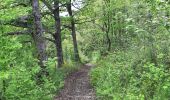 Tour Wandern La Combe-de-Lancey - Col du Pré du Molard - Photo 4