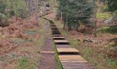 Tour Wandern Fontainebleau - 25 avril - Photo 4