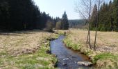 Trail On foot Lesná - [Z] naučná stezka historie sklářství - Photo 2