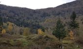 Tocht Stappen Lepuix - Ballon d'Alsace - cascade et lac d'Alfeld - Photo 16