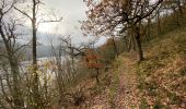 Trail Walking Lac de la Haute-Sûre - Bavigne 15,6 km - Photo 5