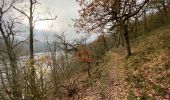 Excursión Senderismo Lac de la Haute-Sûre - Bavigne 15,6 km - Photo 5