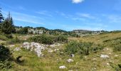 Trail Walking Châtillon-en-Diois - Cirque d'Archiane - Les Hauts Plateaux du Vercors - Photo 15