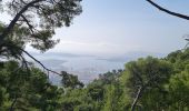 Tour Wandern Toulon - faron est ouest solo - Photo 8
