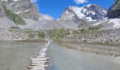 Excursión Senderismo Pralognan-la-Vanoise - le lac de la patinoire - Photo 14