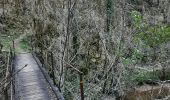 Randonnée Course à pied Castelnau-Pégayrols - moulibez castelneau peg castelmus moulibez - Photo 3